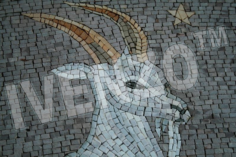 Mosaic FK016 Details sign of the zodiac capricorn 1