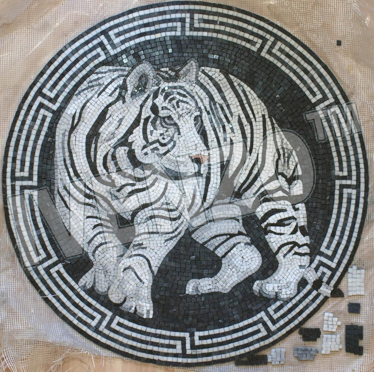 Mosaic AK025 white tiger