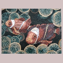 Mosaic Clownfish
