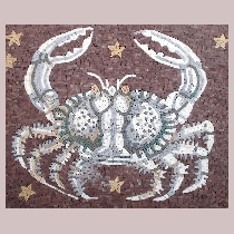 Mosaic sign of the zodiac cancer