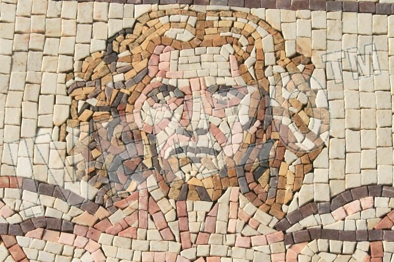 Mosaic FK033 Details Vitruvian Man 1