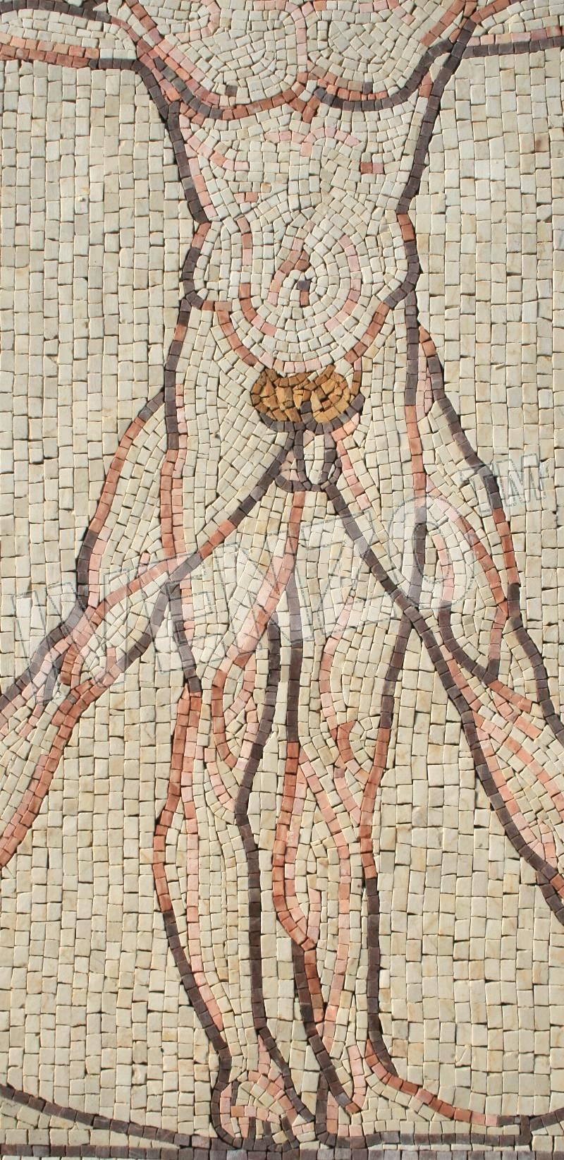 Mosaic FK033 Details Vitruvian Man 2