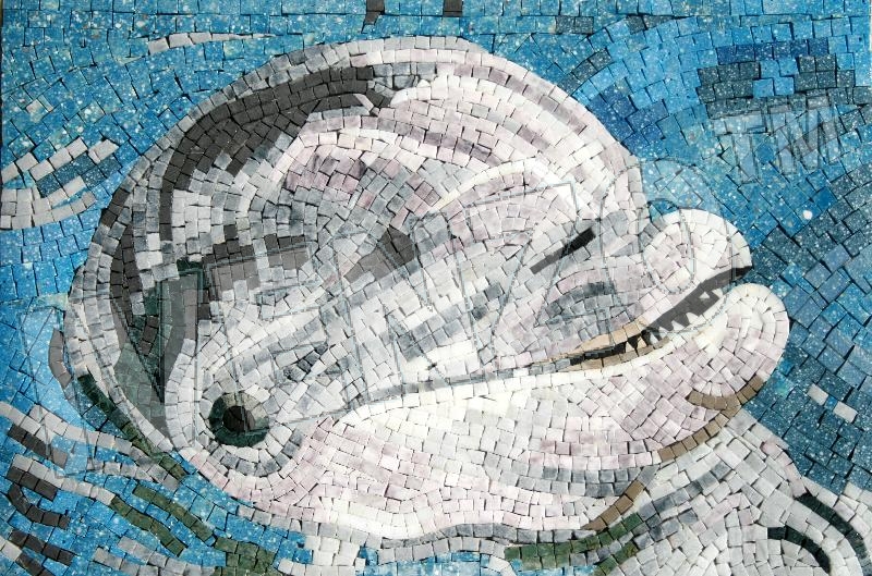 Mosaic AK009 dolphin