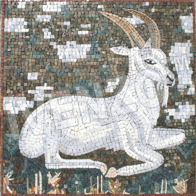 Mosaic AK051 Capricorn
