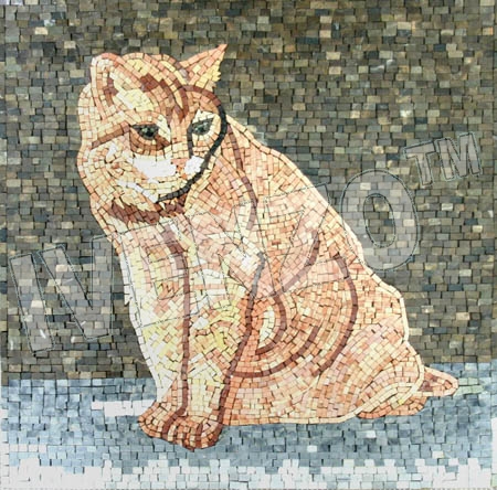 Mosaic AN360 Cat