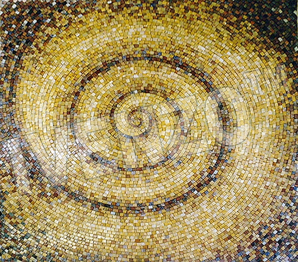 Mosaic CR149 carpet cyclone