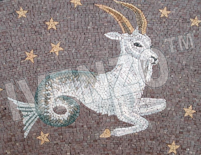 Mosaic FK016 sign of the zodiac capricorn