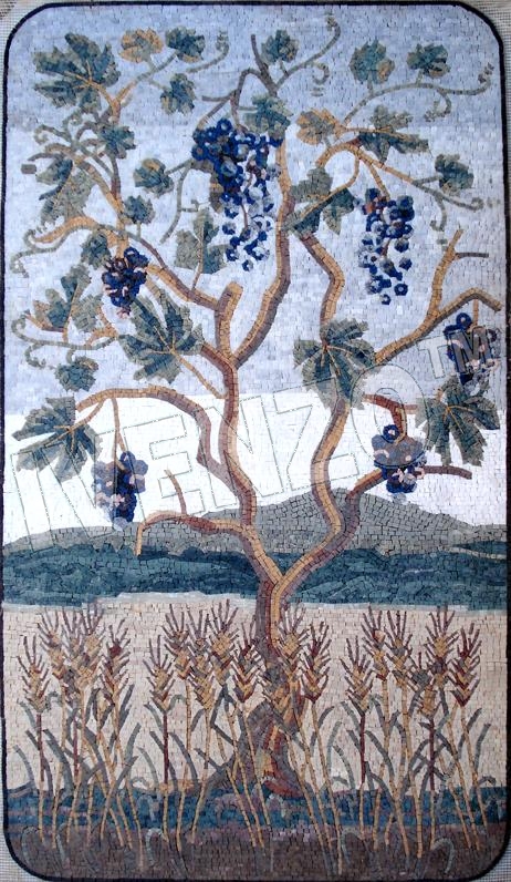 Mosaic LK010 grapevine