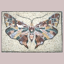 Mosaic butterfly