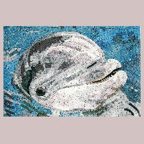 Mosaic dolphin