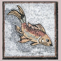 Mosaic fish