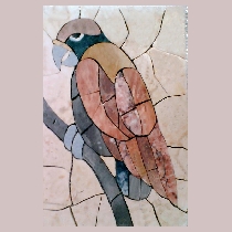 Mosaic parakeet
