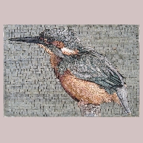 Mosaic kingfisher