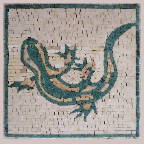 Mosaic amphibian