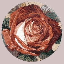 Mosaic Osiria rose